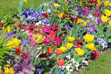 Flower Bed Maintenance