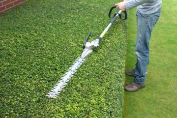 Shrub & Tree Trimming