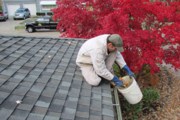 Gutter Cleaning