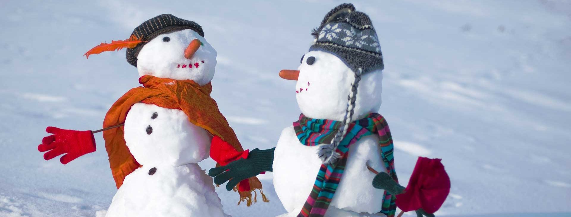 Timberline Landscaping Serving Grosse Pointe and St. Clair Shores