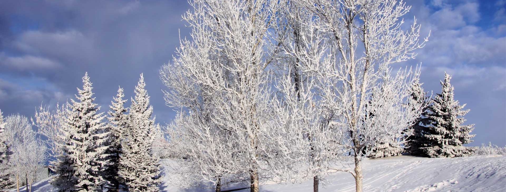 Timberline Landscaping Serving Grosse Pointe and St. Clair Shores